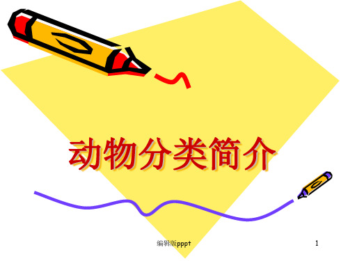 动物分类简介PPT课件