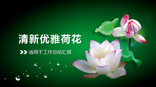 PPT-万能模板2020年经典版