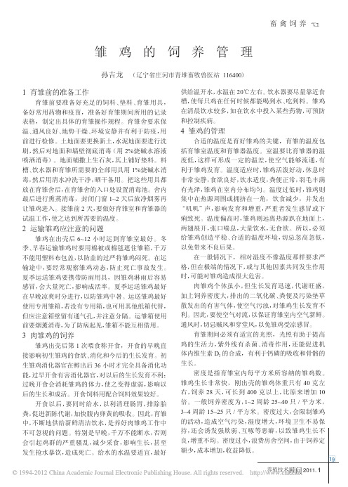 雏鸡的饲养管理