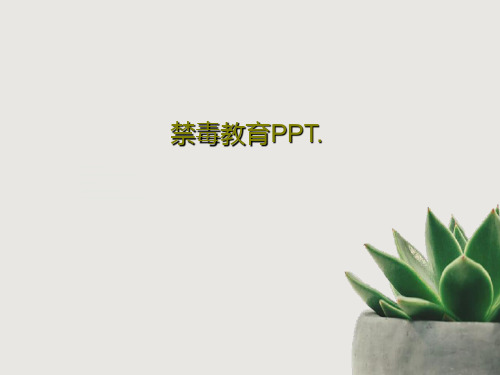 禁毒教育PPT.共33页