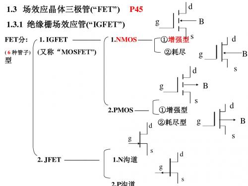 第1章 (3)常用半导体器件FET