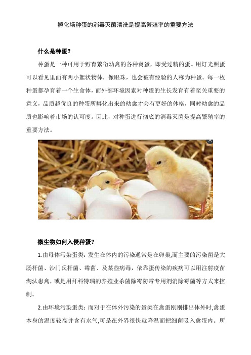 对孵化场种蛋清洗消毒的重要性