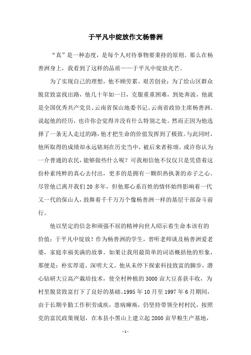 于平凡中绽放作文杨善洲