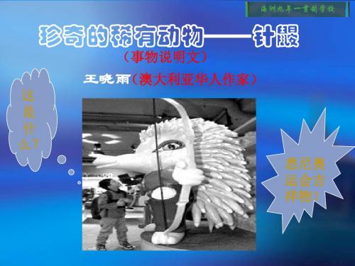 语文版语文七下《珍奇的稀有动物针鼹》ppt课件
