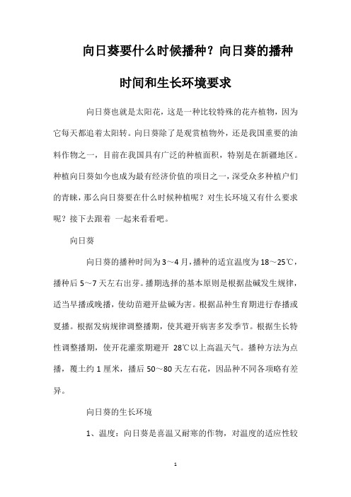 向日葵要什么时候播种？向日葵的播种时间和生长环境要求