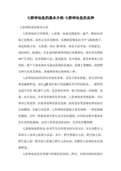 七彩神仙鱼的基本介绍-七彩神仙鱼的品种