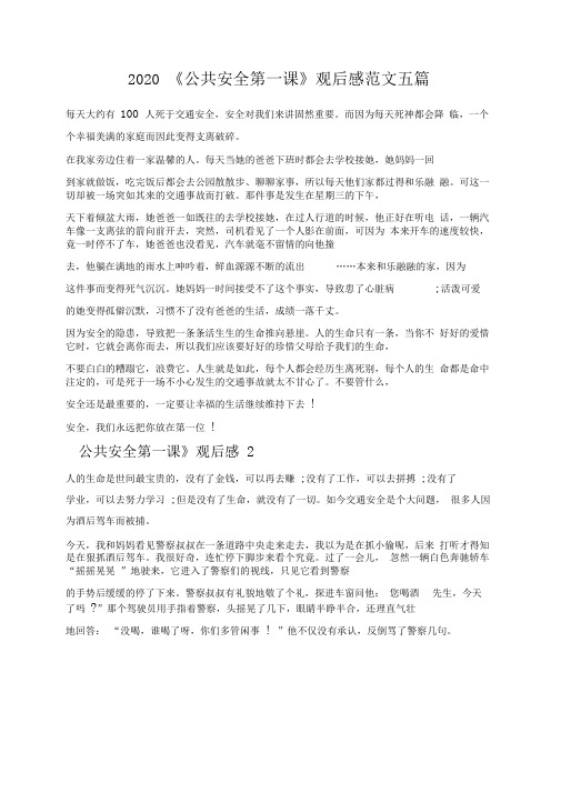 2020《公共安全第一课》观后感范文五篇