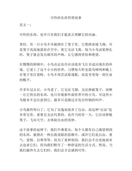 可怜的东西哲理故事