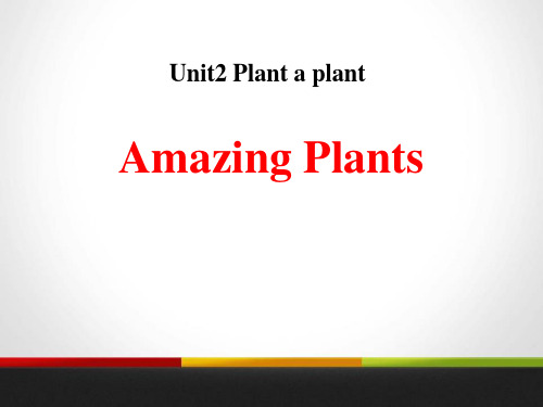 《Amazing Plants》Plant a Plant PPT[课件整理]
