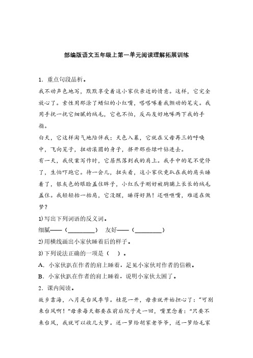 部编版语文五年级上第一单元课内课外阅读理解专项拓展训练卷含答案 (13)