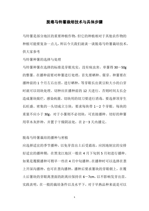 脱毒马铃薯栽培技术与具体步骤