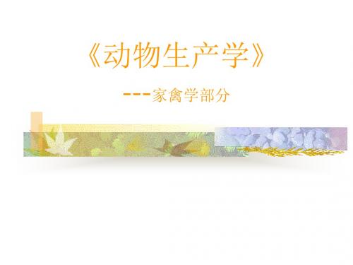 动物产学229页PPT