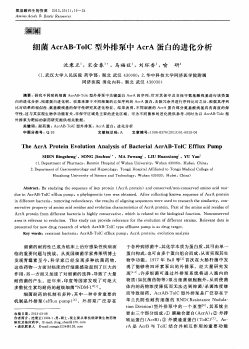 细菌AcrAB—TolC型外排泵中AcrA蛋白的进化分析