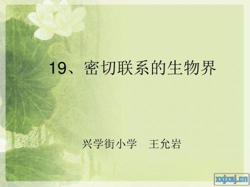 【最新青岛版科学】青岛小学科学四下《19 密切联系的生物界》PPT课件 (4)