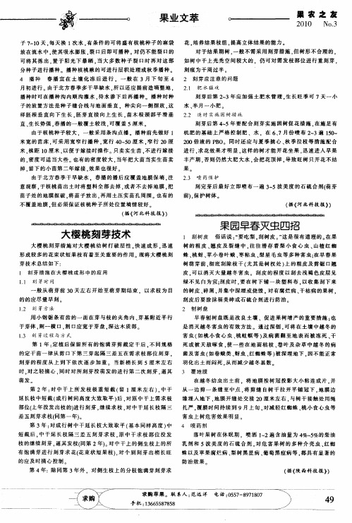 大樱桃刻芽技术