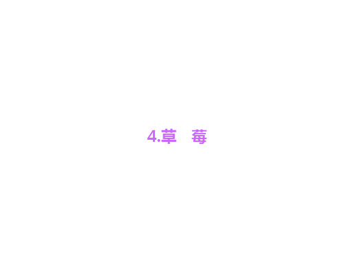 精品16-17【语文版】九上：第4课《草莓》ppt习题课件