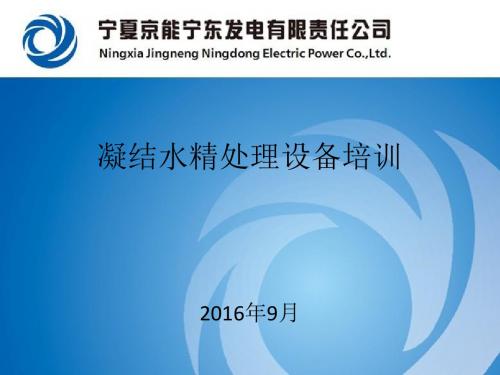 凝结水精处理设备培训