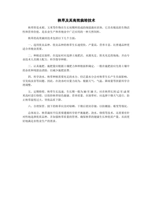 秧草及其高效栽培技术
