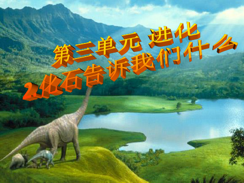 化石告诉我们什么