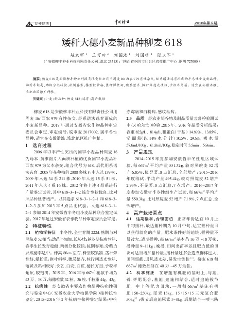 矮秆大穗小麦新品种柳麦618