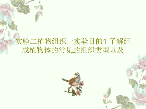 实验二植物组织一实验目的1 了解组成植物体的常见的组织类型以及PPT共32页