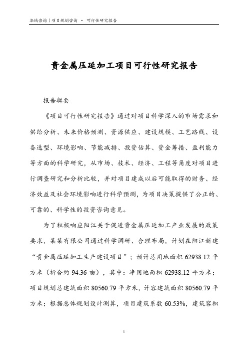 贵金属压延加工项目可行性研究报告