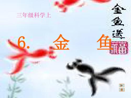 小学科学_三年级上册__金鱼