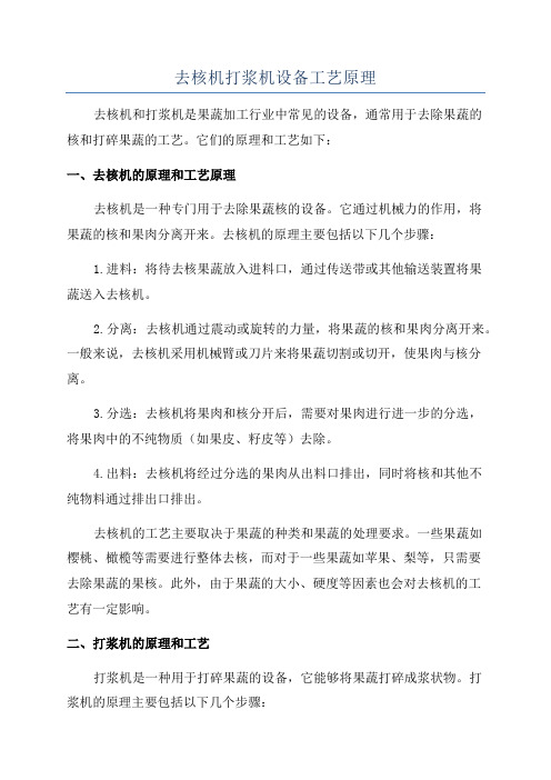去核机打浆机设备工艺原理