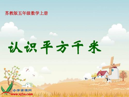 认识平方千米