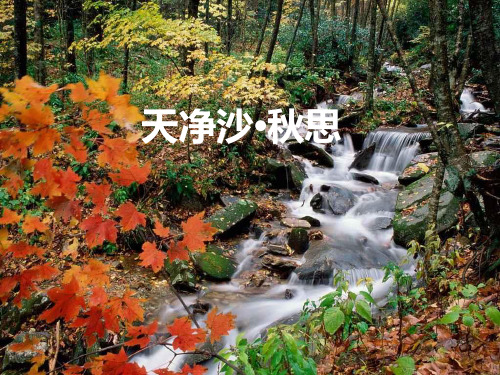 马致远《天净沙·秋思》PPT课件