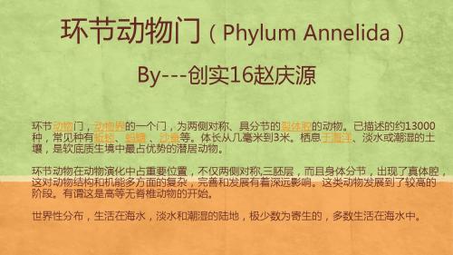 环节动物门(Phylum Annelida)