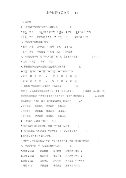 【小升初语文毕业考试】2018年小升初语文知识专项训练总复习试卷及答案解析(WORD版524页)