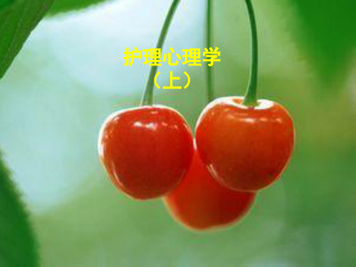 护理心理学(陈燕主编,暨南大学出版社) 上