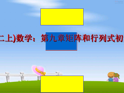 最新(沪教版高二上)数学：第九章矩阵和行列式初步(章综合)