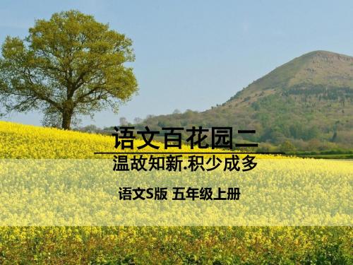(部审)语文S版五年级上册《二单元  语文百花园二  温故知新·积少成多》优质课课件_5