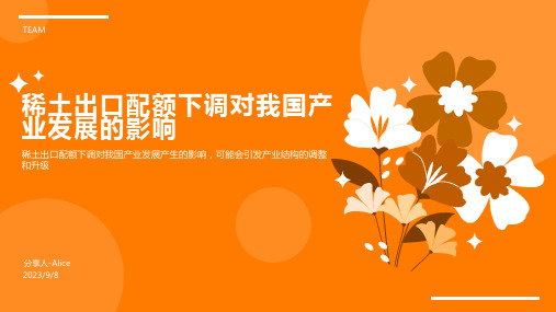 2023年我国稀土产品出口配额总量下调明显模板