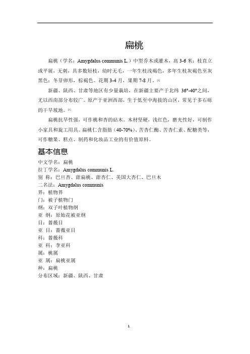 扁桃