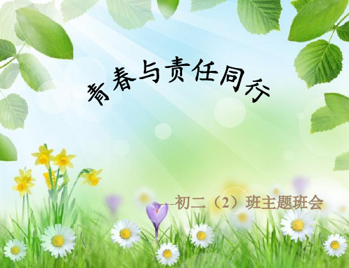 初中 七年级 八年级 九年级 优质主题班会教学课件——青春与责任同行 