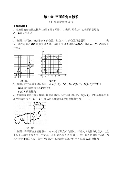 苏科版八年级数学上册第5章5.1物体位置的确定