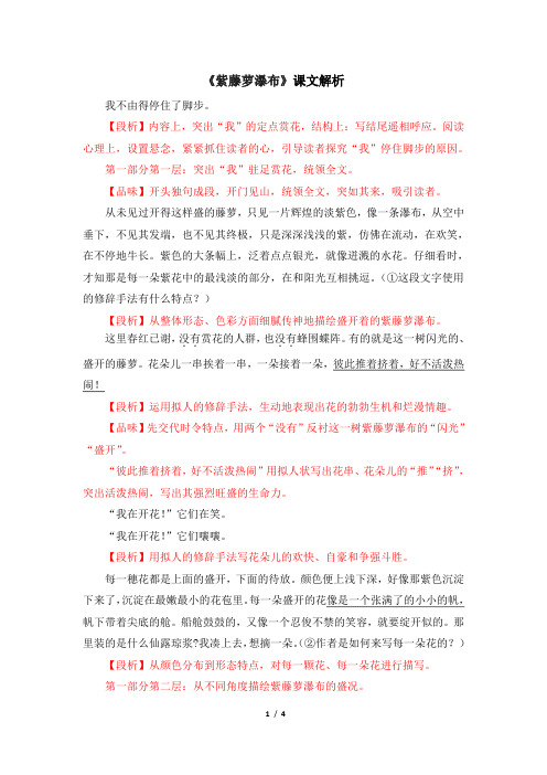 苏教版八年级语文下册《紫藤萝瀑布》课文解析