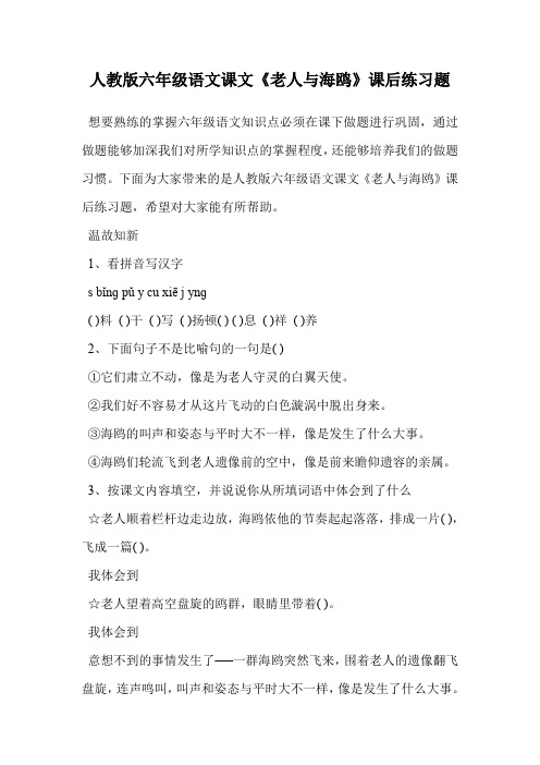 人教版六年级语文课文《老人与海鸥》课后练习题.doc