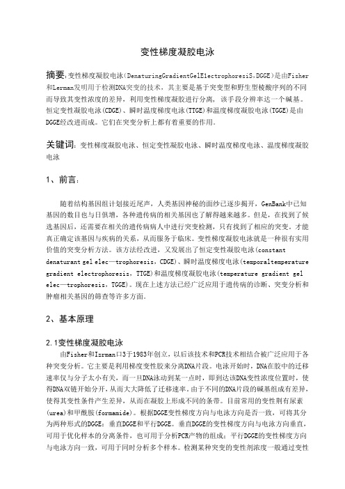 变性梯度凝胶电泳