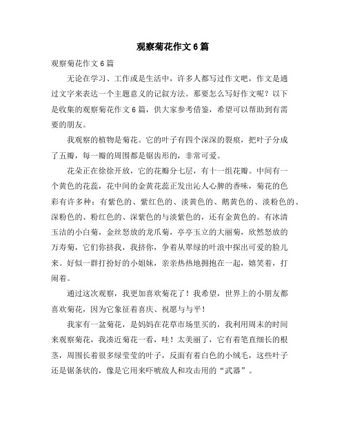 观察菊花作文6篇