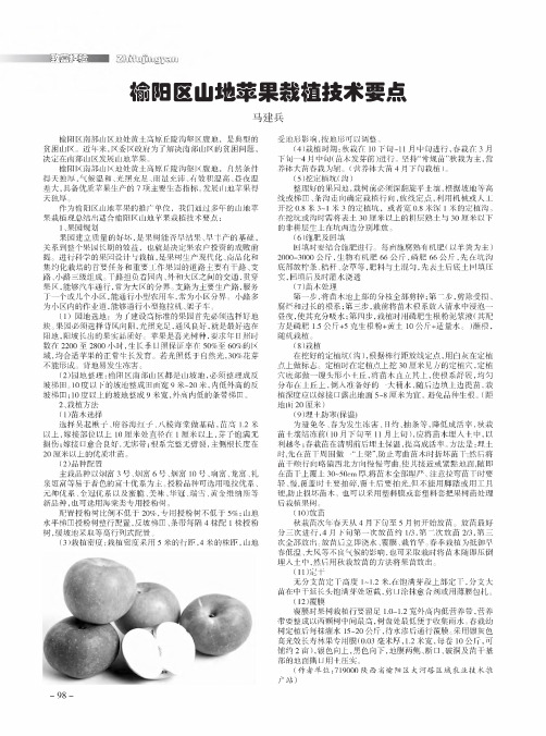 榆阳区山地苹果栽植技术要点