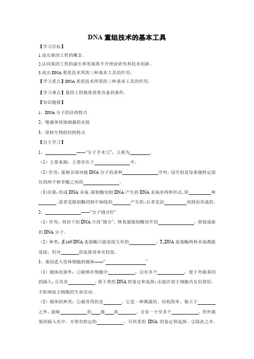学案17：DNA重组技术的基本工具
