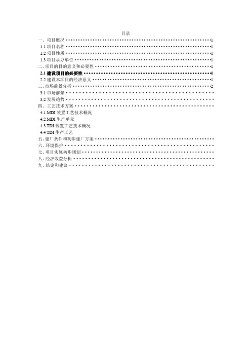 项目概况