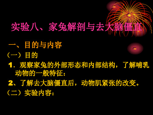 实验八、家兔解剖与去大脑僵直一