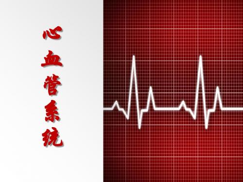 心血管系统