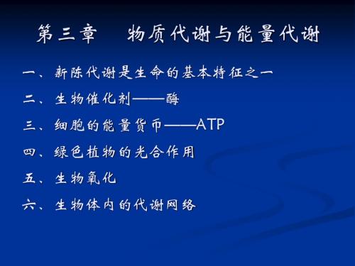 (3)细胞代谢