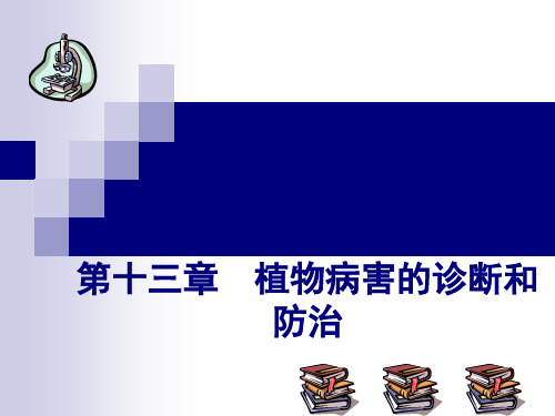 [精选]第十三部分植物病害的诊断和防治名师编辑PPT课件--资料